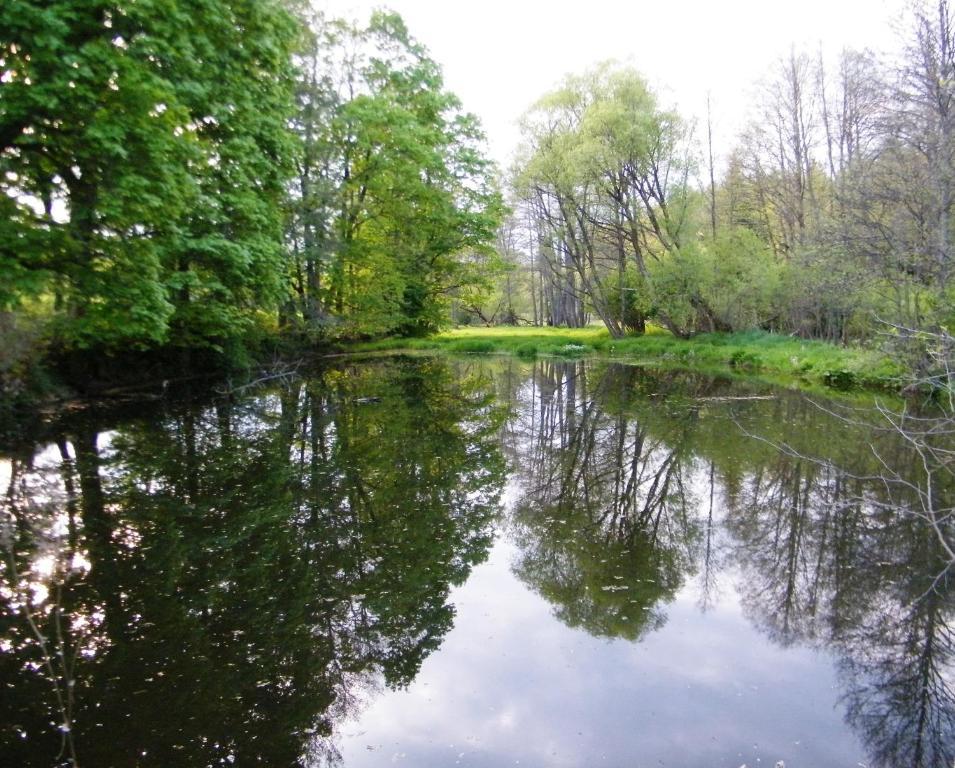 Вілла Rainmuehle Маріанські Лазні Екстер'єр фото